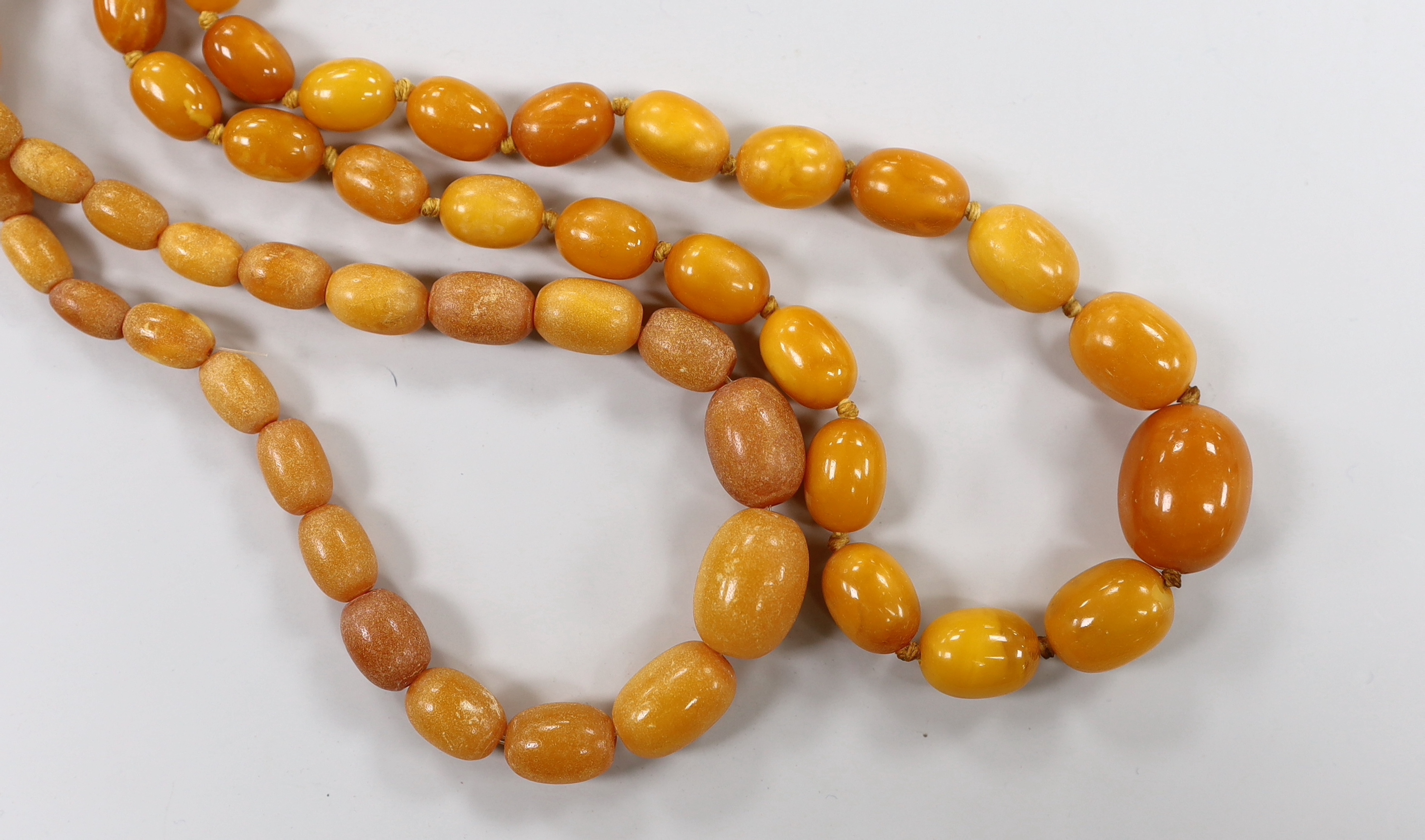 Two single strand graduated oval amber bead necklaces, longest 80cm, gross weight 71 grams.